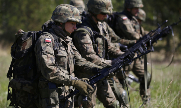 Польшу призвали объявить Белоруссии войну