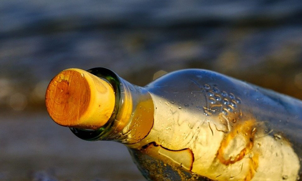 На берегу океана нашли бутылку с посланием: содержание разрывает душу