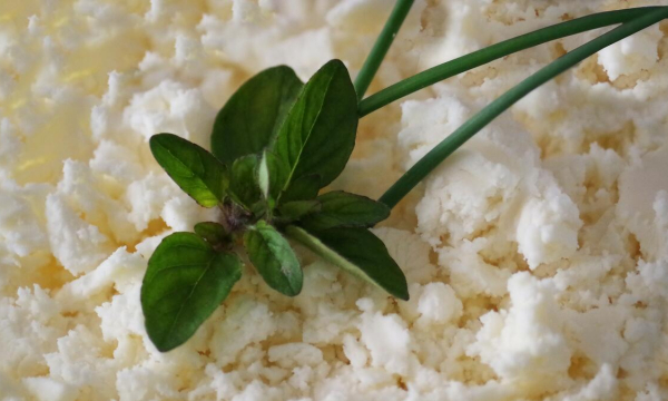 Кости будут как сталь: названы продукты с высокой концентрацией кальция