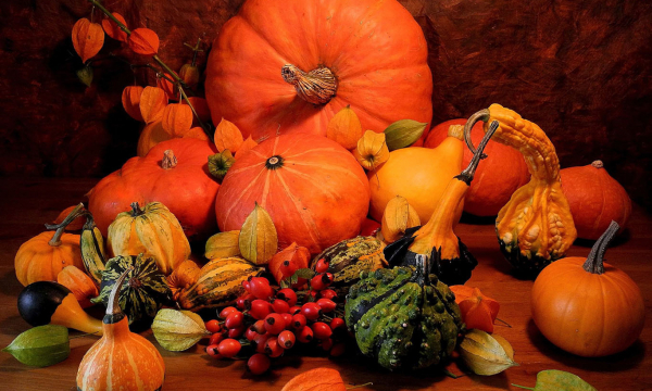 Какие 6 продуктов питания улучшат работу желудка: медики составили список