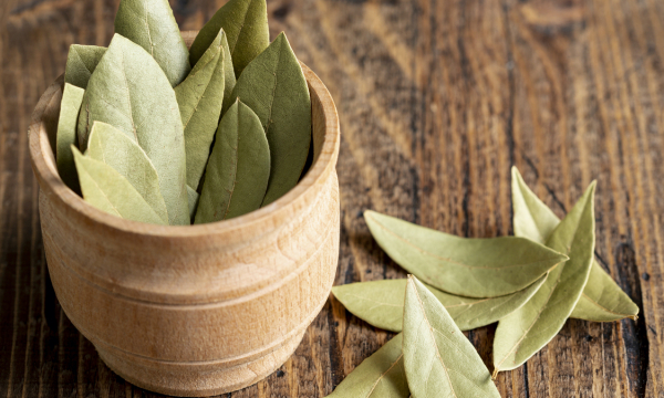 Положите один лавровый лист в обувь, а второй — подожгите: ахнете от суперэффекта