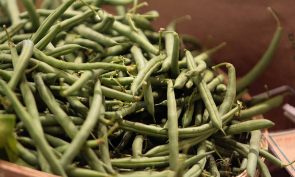 Раскрыта неожиданная польза фасоли