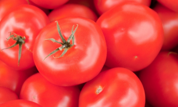 Почему нельзя хранить помидоры в холодильнике: будут невкусными